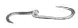 IMPA 172389 – Meat Hook Galv Swivel 300mm