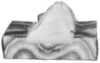 IMPA 174220 – Tissue Paper Economy Size