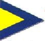 IMPA 371556 – Flag Signal First Substitute