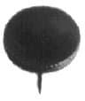 IMPA 471171 – Drawing Thumb Tack 30'S