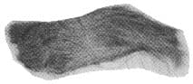 IMPA 813126 – Coco Fiber