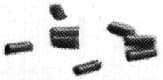 IMPA 850289 – Spare Flint For Welder Gas, Lighter Friction Type 10pcs